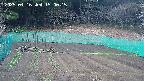 kannonmori-20250416150015.jpg