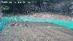 kannonmori-20250416151015.jpg