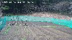 kannonmori-20250416152016.jpg