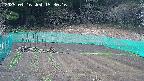 kannonmori-20250416153017.jpg