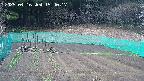 kannonmori-20250416154018.jpg