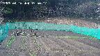 kannonmori-20250416155018.jpg