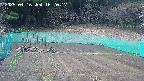 kannonmori-20250416162017.jpg