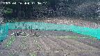 kannonmori-20250416170018.jpg