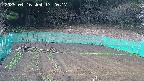 kannonmori-20250416172017.jpg