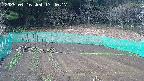 kannonmori-20250416174018.jpg