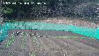 kannonmori-20250416175017.jpg