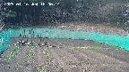 kannonmori-20250416180015.jpg