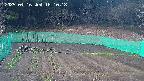 kannonmori-20250416181019.jpg