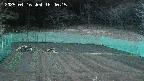 kannonmori-20250416184016.jpg