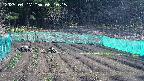 kannonmori-20250417081016.jpg