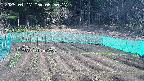 kannonmori-20250417085017.jpg