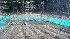 kannonmori-20250417090018.jpg
