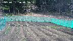 kannonmori-20250417091018.jpg