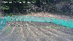 kannonmori-20250417103016.jpg