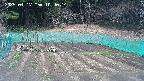 kannonmori-20250417104015.jpg