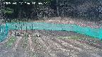kannonmori-20250417105015.jpg
