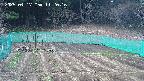 kannonmori-20250417112016.jpg