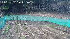 kannonmori-20250417114015.jpg