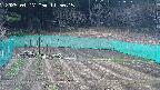 kannonmori-20250417115016.jpg