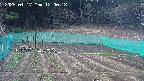 kannonmori-20250417120018.jpg