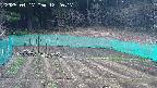 kannonmori-20250417122018.jpg