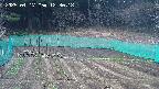 kannonmori-20250417123018.jpg