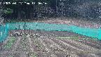 kannonmori-20250417124017.jpg