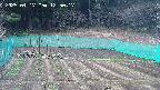 kannonmori-20250417125018.jpg