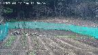 kannonmori-20250417130017.jpg
