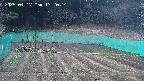 kannonmori-20250417132015.jpg