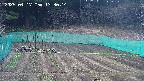 kannonmori-20250417133015.jpg