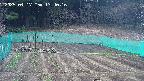 kannonmori-20250417134017.jpg
