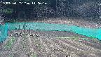 kannonmori-20250417140017.jpg