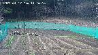 kannonmori-20250417141017.jpg