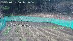 kannonmori-20250417142017.jpg