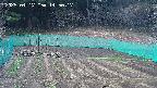 kannonmori-20250417145017.jpg