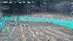 kannonmori-20250417150016.jpg