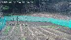 kannonmori-20250417151019.jpg