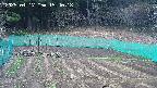 kannonmori-20250417154018.jpg