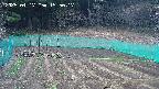 kannonmori-20250417155017.jpg