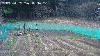 kannonmori-20250417160017.jpg