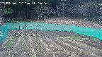 kannonmori-20250417161017.jpg