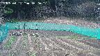 kannonmori-20250417162018.jpg