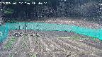 kannonmori-20250417163015.jpg