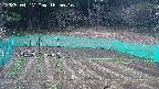 kannonmori-20250417165017.jpg