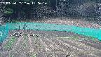 kannonmori-20250417170017.jpg