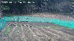 kannonmori-20250417173017.jpg