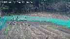 kannonmori-20250417174017.jpg