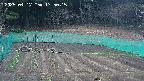 kannonmori-20250417175015.jpg